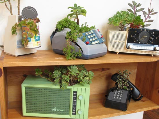 hyggehaven:Slightly weird DIY E-Waste Planters  Switch Plate Planters by ReadyMade