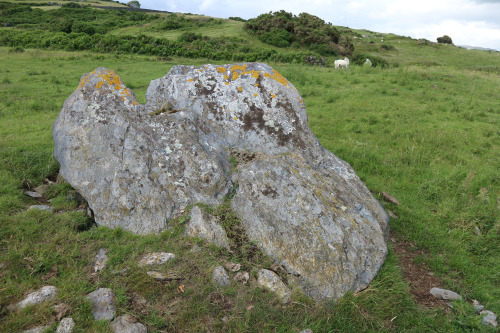 Caer-Dyni Neolithic Burial Chamber, Criccieth, North Wales, 2.7.16. Small and isolated chamber with 
