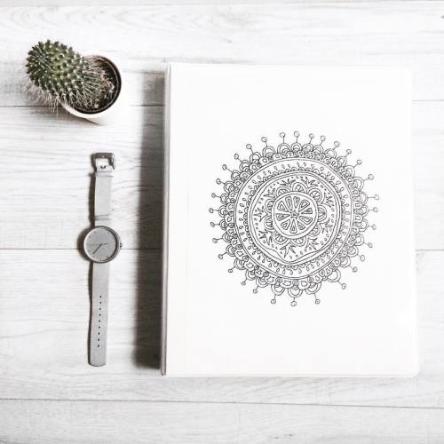 flowure:#studygram 🙀 #polskadziewczyna#polishgirl#white#binder#mandala#watch#cacti#instalacja#whitetheme#theme#tumblr#whiteaddicted#white#love#lfl#l4l#like4like