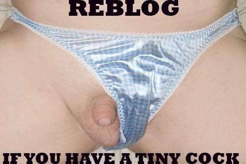 whitepussydickslut:omgsmallpenis:ahumliatedhusband-com: So cute, don’t you just want to kiss it’s tiny little head  That looks like me when I’m soft. :)   Any ladies like the look of tiny dicks in panties?  Como corresponde en una chica como yo.