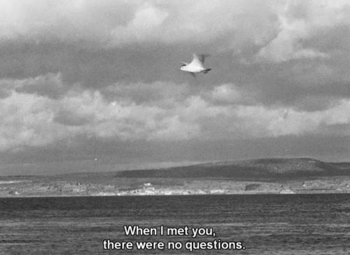 carol-danvers:La Pointe-Courte (1955) dir. Agnès Varda