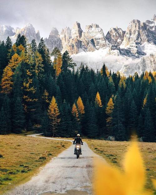 arist-world:Down The Valley | by @brahmino (at Parco Naturale Adamello Del Brenta)