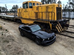 ford-mustang-generation:  Lynn, 2007 Mustang GT