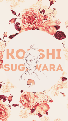 tsukis:  sugawara koushi (+karasuno team)