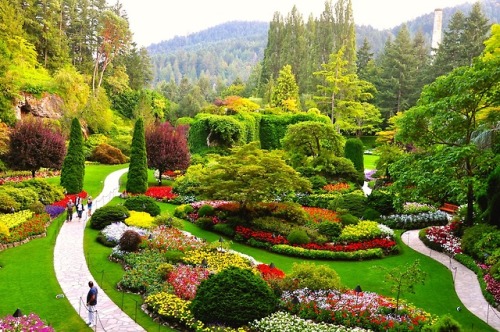 gaypurgatory:sixpenceee:Butchart Gardens, Vancouver Island in CanadaI GET TO GO THERE & see this