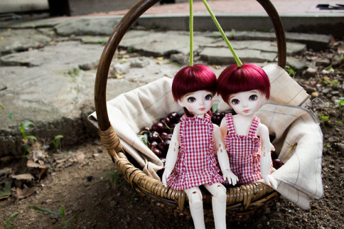 luciadollstudio:Cherry USD BJD Photo shoot 2/  루시아돌 체리 USD 구체관절인형 화보2  As soon as it stopped raining