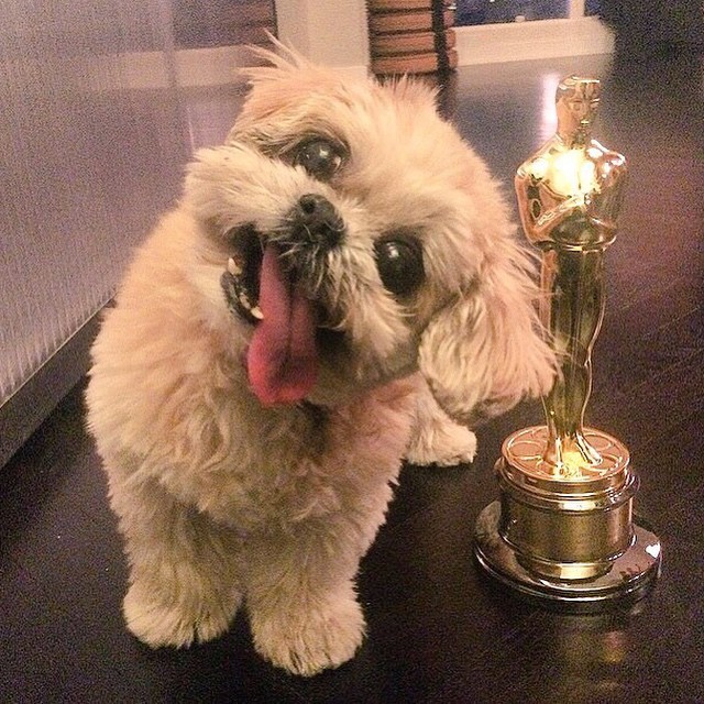 marniethedog:Wow this is great news tank u 2 the academy