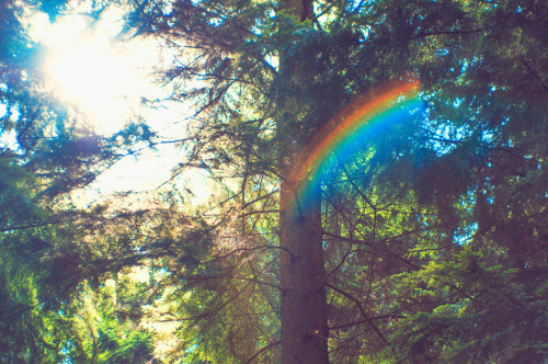 jacindaelena:    by Oliver Liria