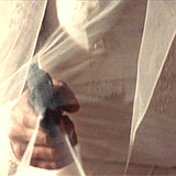 thatlemur:  myashtrayfandomheart requested: Mine vaganti (2010, Ferzan Özpetek)