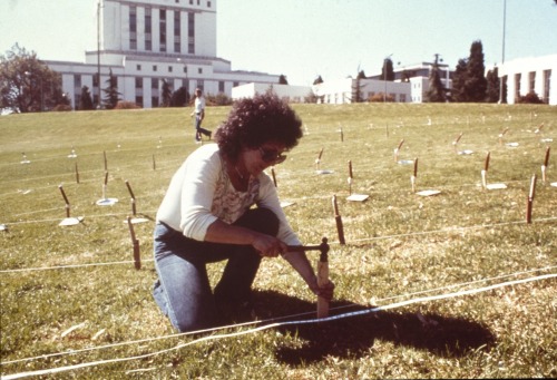 Judy Chicago’s upcoming pyrotechnic performance A Butterfly for Brooklyn is a continuation of a seri