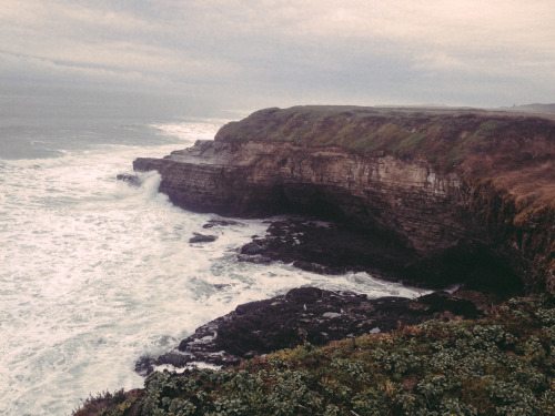 leaberphotos:overcast ocean days ( jan. 2016 )