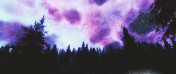 letsgetonwithit:  ♛ Skyrim prettiness (3/?)   