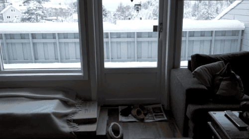 animatedamerican:tastefullyoffensive:Video: Big Fluffy Cat is Obsessed With Snowwho’s a big lovely f