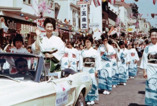 The Northern California Cherry Blossom festival is celebrating 50 bloomin&rsquo; years in San Franci