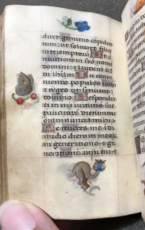 smithsonianlibraries: Caution: monsters in the margins! These little beasts lurk around the text of 