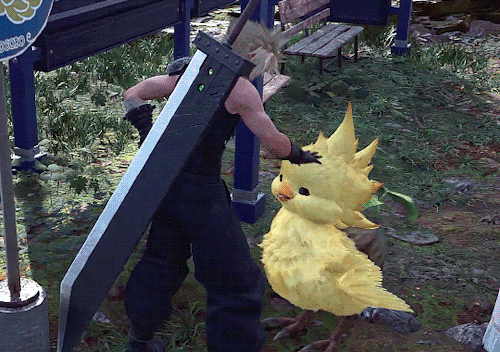 Just Two Baby Chocobos 🐣💛 Edit: More Baby Chocobos!!