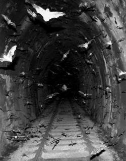 Scavenger of Human Sorrow