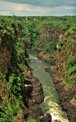 heyfiki:  Zambezi River 