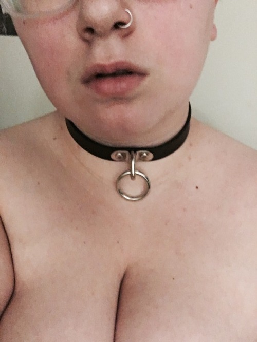 Porn Guess who found their collar… photos