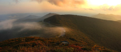 applecorekevin:  Sunset on the Blue Ridge