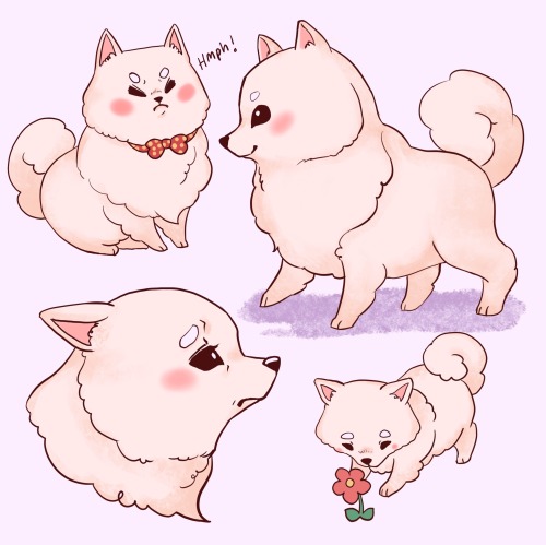 Some fluffy bois sketches ! 