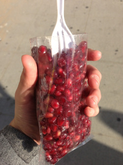 jess-sea:  pomegranate 