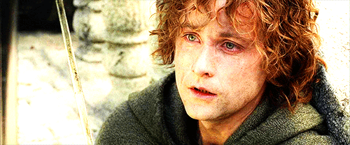 m-irkwood:“Hobbits must seem of little importance, being neither renowned as great warriors, nor cou