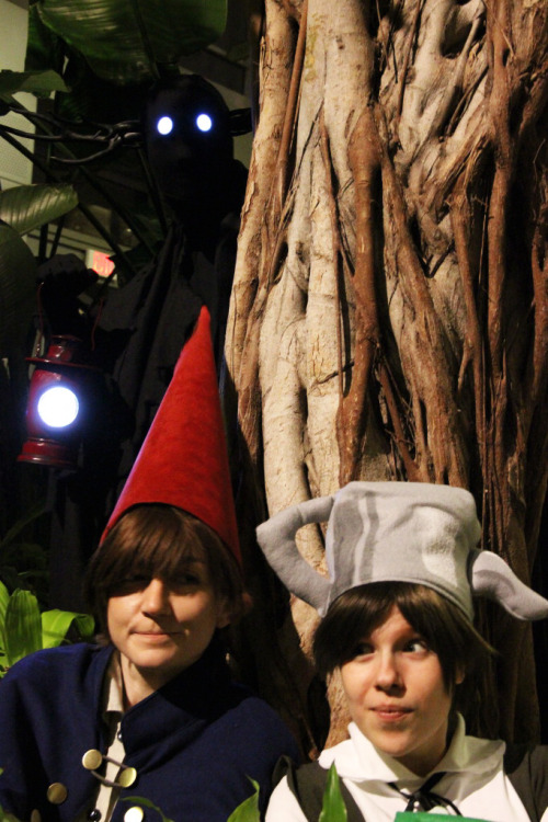 queenzerocosplay:A picture of my OtGW group at Katsucon 2015! I had such great fun being the Beast (