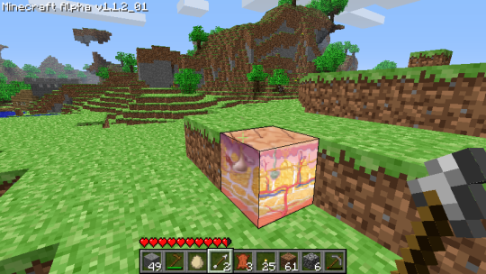 hells-machine: boethiah:  rasec-wizzlbang:  rasec-wizzlbang: those square cross sections of the human skin layers you always see in biology books but as like, a minecraft block  i just don’t like this at all   Aesthetic 
