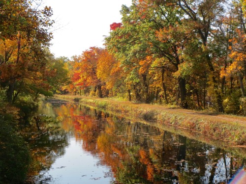 Come with me for a walk along the canal path. If you live within an hour of Walnutport, Pennsylvania