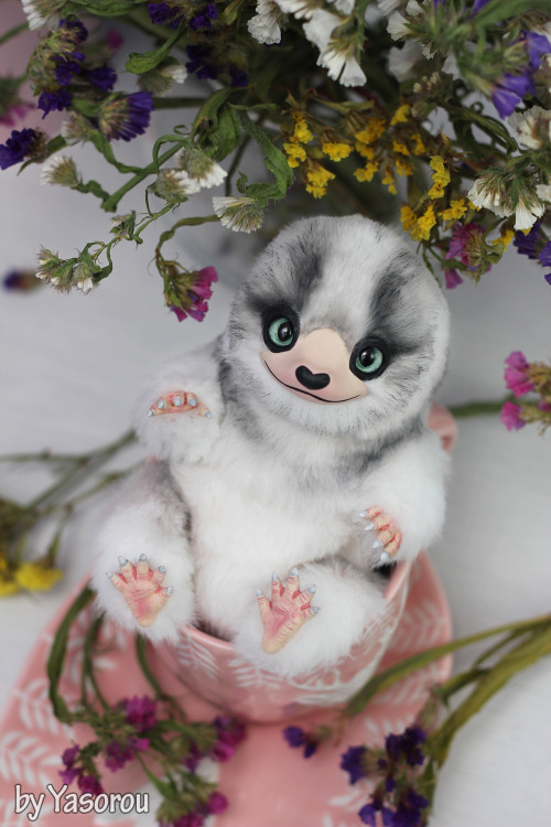  Little niffler with the heart-shaped birthmark on his nose wanted to be an arctic fox. Love this we