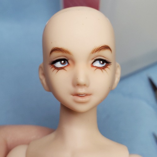 Today&rsquo;s doll update: finally painted some 1/6 factory heads. I&rsquo;d done the blushi