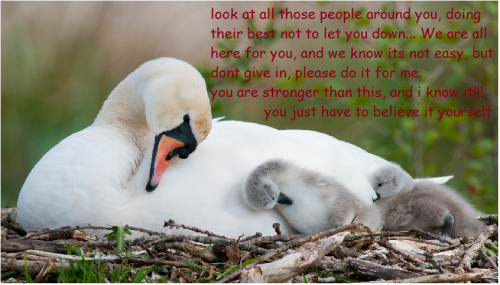 support duck and ducklings version..my ask is always open for those who need it