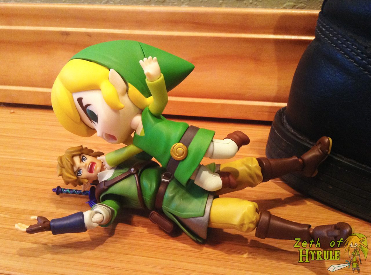 zethofhyrule:  I guess they can get along… 