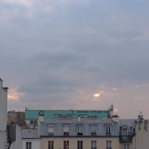 softfeline: rectoverso_paris