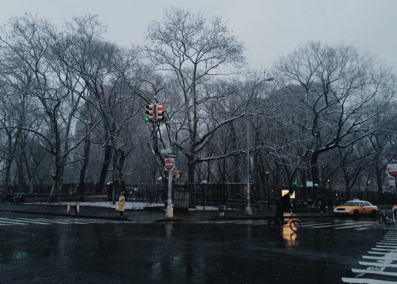 Natural New Yorker