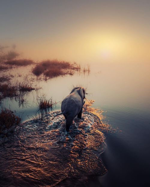 “ Towards The Sun “ // Solly Levi