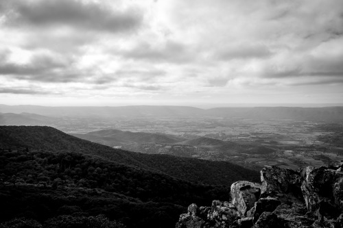 Valley Landscape