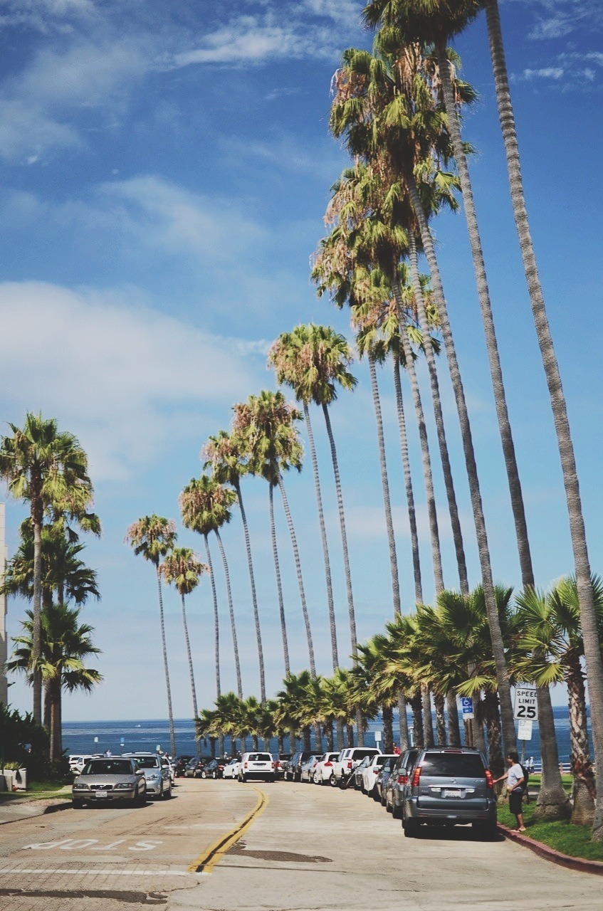 sassafranski: La Jolla, CA 