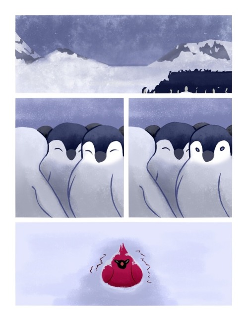 thegreatdelta:pocketyhat:gracefullysaint:eggsyeagle:penguin-arts:A warm meeting❤️❤️❤️@extraordinary-