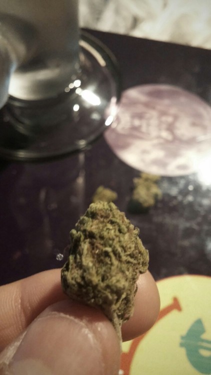 blowmelikekushhh:  R.I.P. Beautiful Nugs, You Will Be Smoked