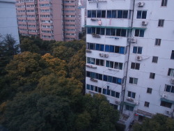 pansophtravels:  from my grandparent’s house in shanghai 