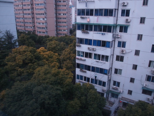 pansophtravels:from my grandparent’s house in shanghai