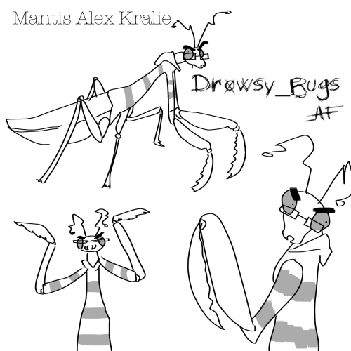 MARBLE HORNETS X BUGS
