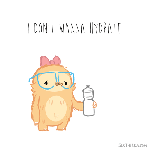 slothilda:  I always stay carbohydrated.   TUMBLR | FACEBOOK | INSTAGRAM    
