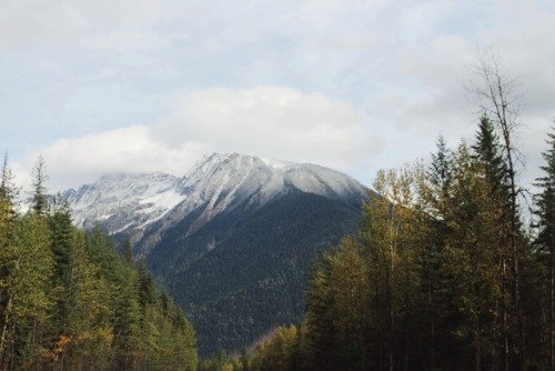 matchbox-mouse: Driving into the mountains.  Alberta, Canada.