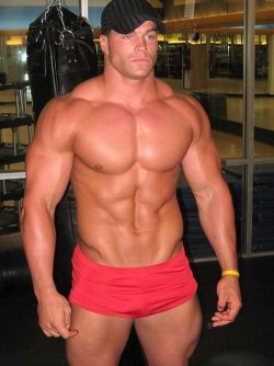 muscletits:  That fabric is not needed.  Every muscle should be shown.  An Owned muscleboy should always be fully displayed.