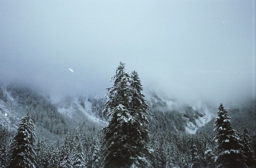 untidysouls:it is quiet in the Alps.35mm film