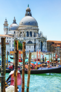 allthingseurope:  Santa Maria della Salute,