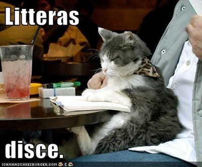 interretialia:Litteras disce.Learn your letters.(From Bestiaria Latina Blog.)